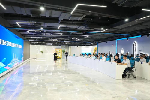 科技賦能，黨建引領(lǐng) 深圳市互聯(lián)網(wǎng)企業(yè)黨建工作交流推進(jìn)會(huì)聚焦科技中介服務(wù)新篇章