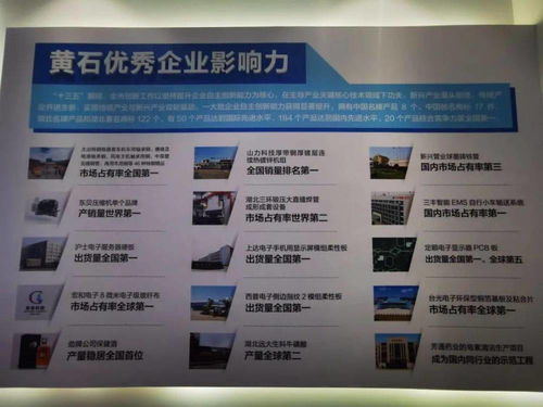 黃石首個(gè)科技中介服務(wù)盛會(huì)武漢開(kāi)幕，搭建區(qū)域科創(chuàng)資源對(duì)接平臺(tái)